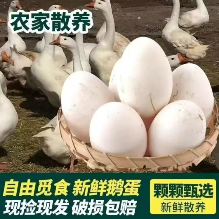 农家散养土鹅蛋 大蛋现捡现发12枚 80-100克