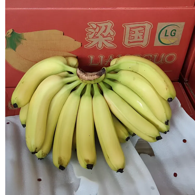 广西高山香蕉梁国专版新鲜当季水果软糯香甜皮薄自然成熟
