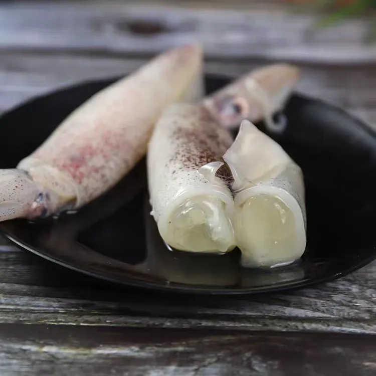 活冻新鲜海兔笔管鱼净重3斤大连发货