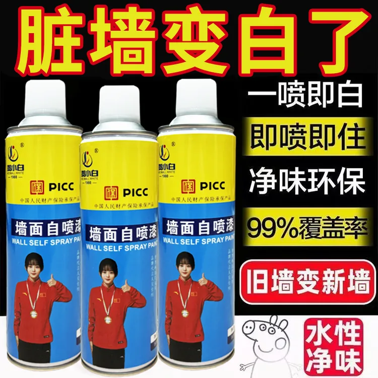 HE SMALL WHITE/贺小白墙面自喷漆修复翻新白墙彩笔涂鸦发黄去污