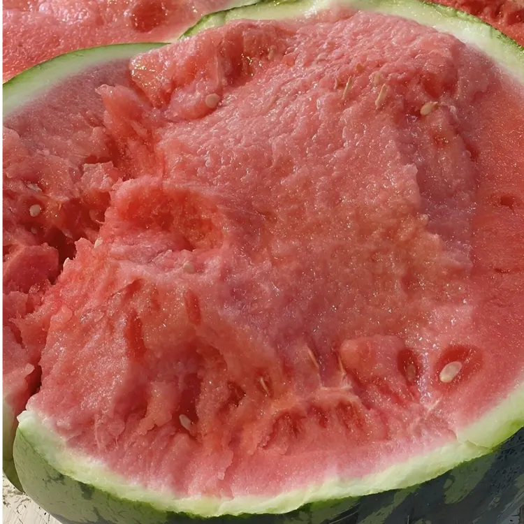 【顺丰】夏县麒麟西瓜大瓜新鲜采摘皮薄脆甜多汁当季水果爽口