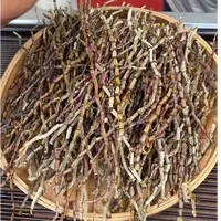 云南高山紫芽铁皮石斛干条  胶多无渣石斛干条