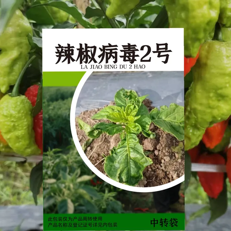 辣椒病毒病防控升级版病毒2号叶面喷施25一套10套起发