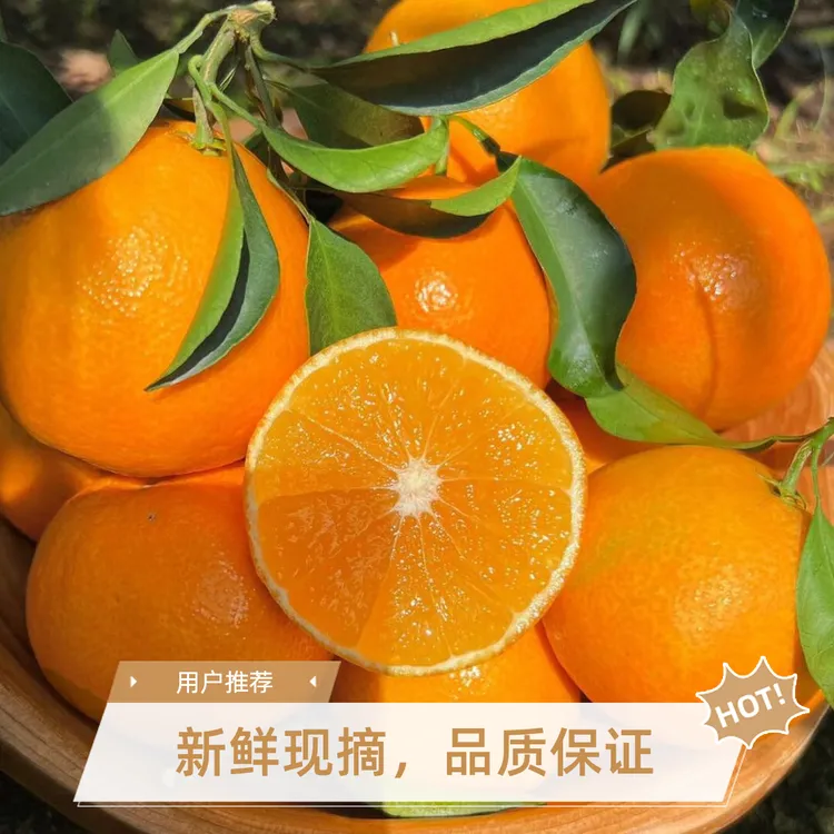 四川眉山爱媛38号果冻橙果园现摘乡村新鲜应季爆甜多汁夺冠挑战vs
