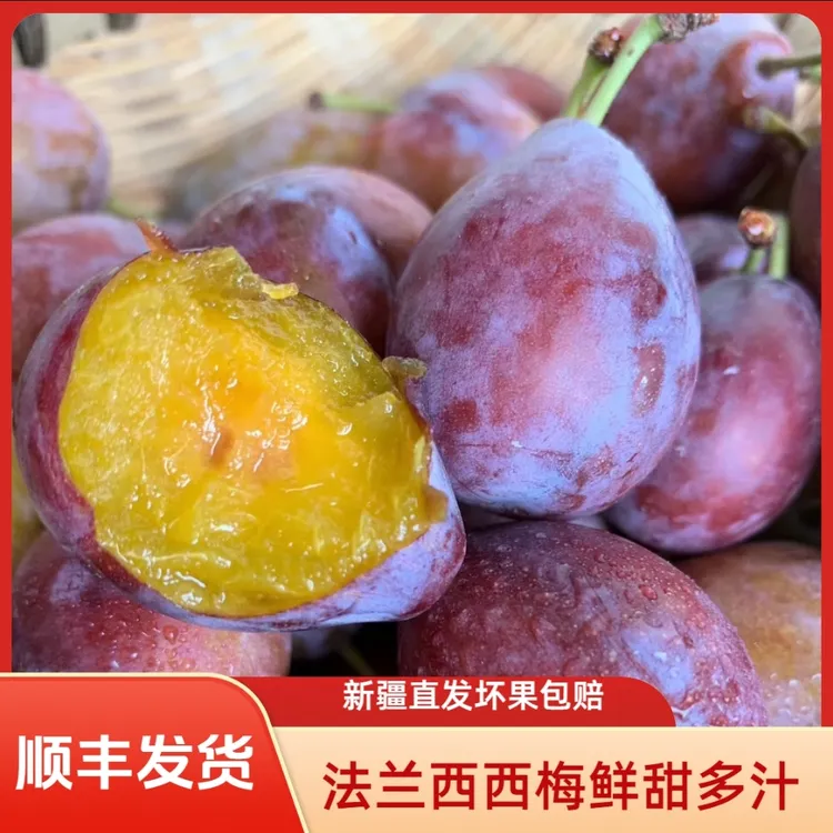 新疆法兰西西梅新鲜应季现摘大西梅产地直发酸甜可口的水果