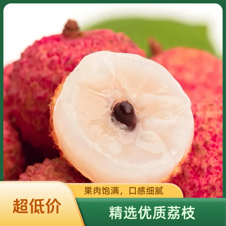 [桂味]广西灵山桂味荔枝 新鲜应季水果现摘现发 顺丰冷链坏果包赔