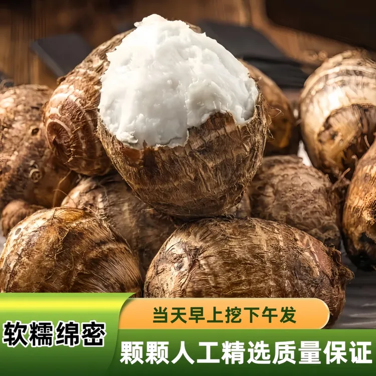 山东农家新鲜现挖牛奶小毛芋头香芋软糯粉滑香甜可口芋艿蔬菜包邮