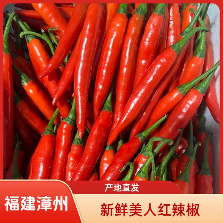 新鲜美人红辣椒 辣椒 福建漳州 原产地 现摘包邮