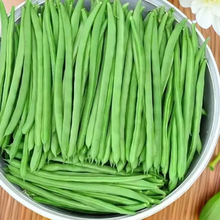 云南露天自种四季豆新鲜脆嫩多汁现摘现发发货 家常菜炒菜