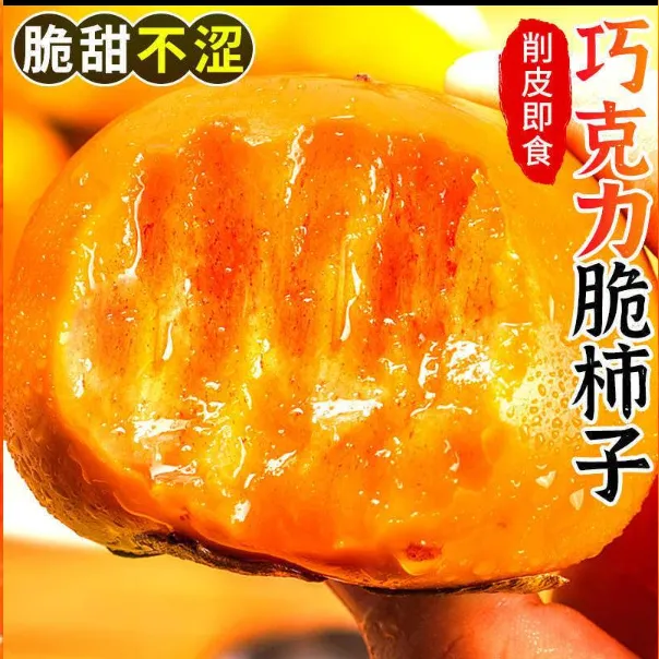 山西阳丰脆柿新鲜巧克力脆甜柿子应季硬柿子产地直发纯甜无酸不涩