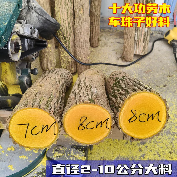 野生十大功劳整根可做手串车珠子工艺品大料土黄连猫儿刺切中药材