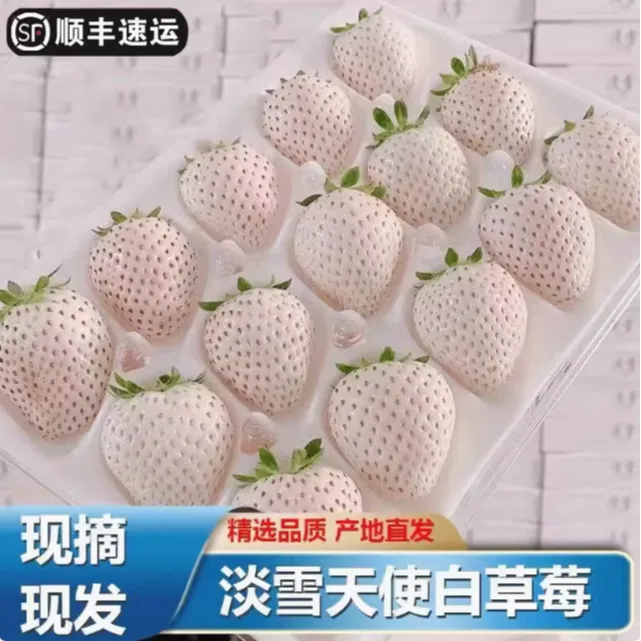 【顺丰空运】现货白雪公主淡雪白草莓奶油现摘新鲜时令水果礼盒送礼