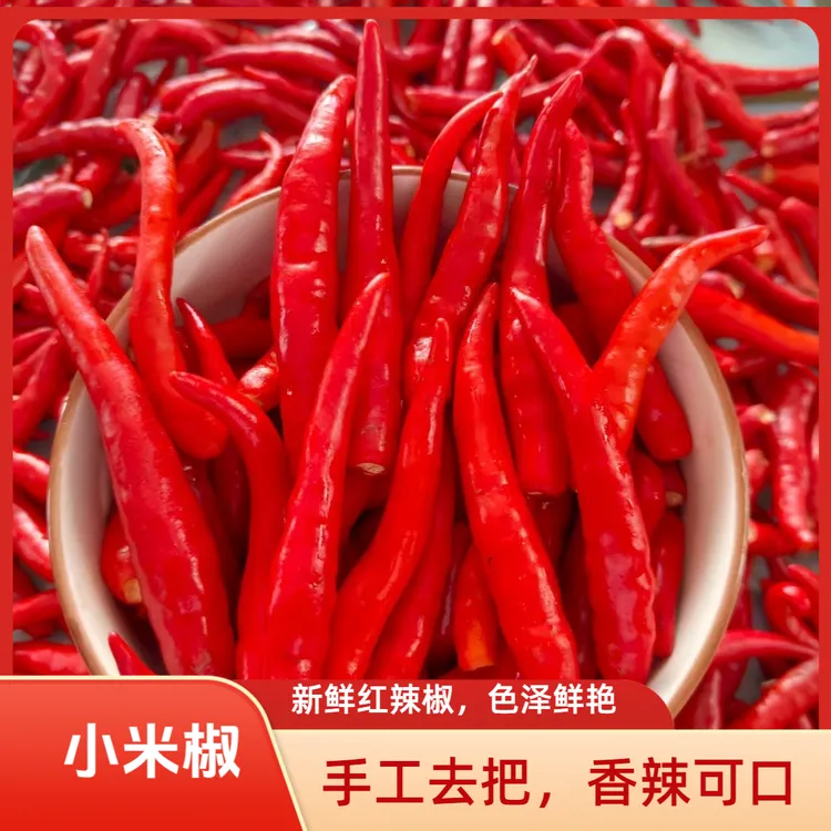 【手工去把后发货】新鲜现摘云南特辣小米辣椒可用于餐饮调味的蔬菜