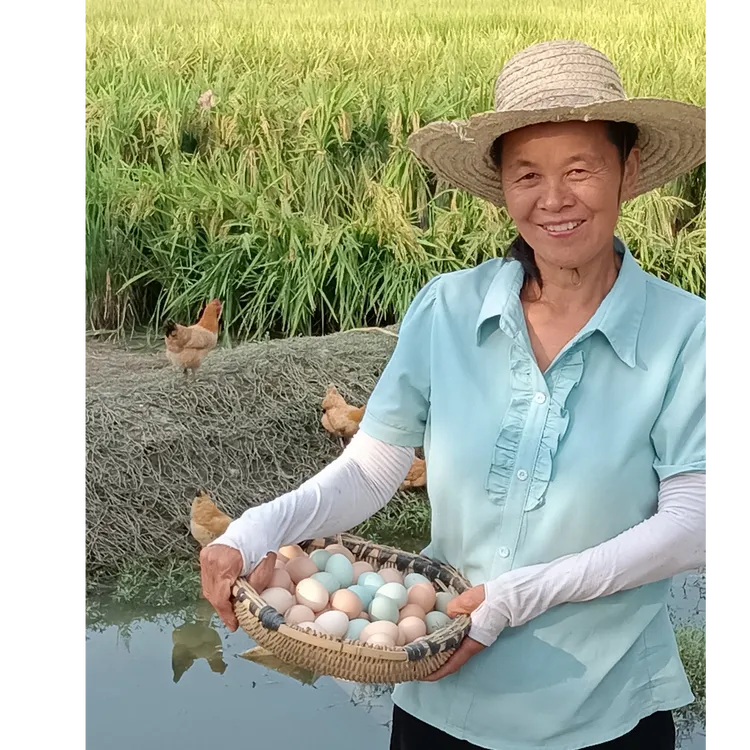（特快包邮）农村正宗散养土鸡走地鸡子鸡初生蛋开窝蛋土鸡蛋鲜鸡蛋