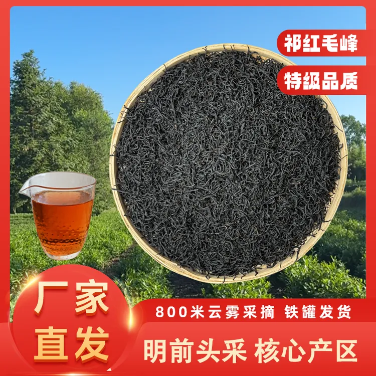【明前头采A40特级红毛峰】800米祁门核心产区头春头采【4月5号左右】