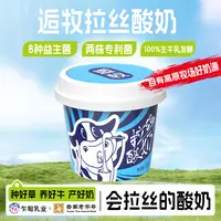【低温冷链】乍甸逅牧拉丝酸奶两项专利益生菌八个菌种早餐酸牛乳