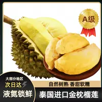【顺丰发货】泰国金枕树熟6A级冷冻榴莲肉软糯香甜自然树熟冷链发货