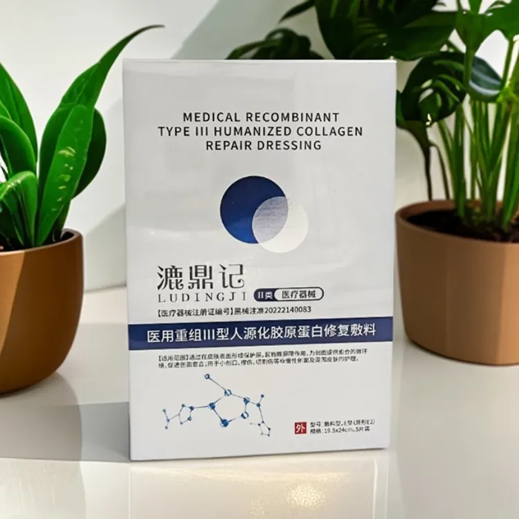 LUDINGJI/漉鼎记医用重组Ⅲ型胶原蛋白敷料修复护理膜人源化胶原蛋白术后创口愈合皮肤术后护理械字号无菌敷料舒缓敏感