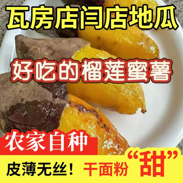 【马大叔】助农大连瓦房店闫店地瓜嘎嘎甜榴莲蜜薯 5斤 沙土地地瓜