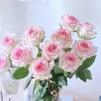 【洛神+香水百合+洋桔梗+洋甘菊套餐】鲜花【0度以下请拍保温棉】