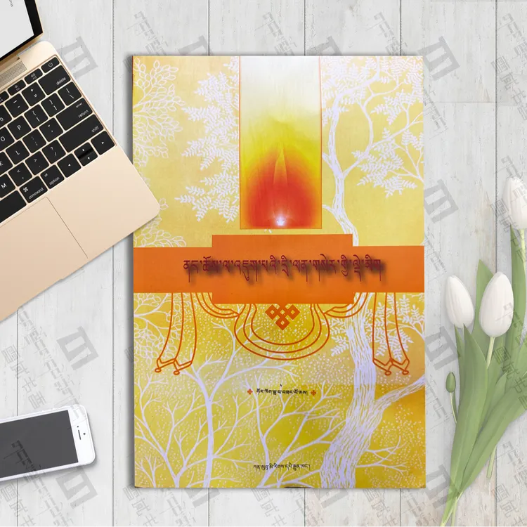 佛教文化基础知识读本传记西藏书本：藏文念经书籍藏族