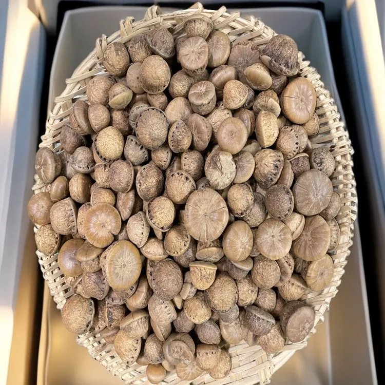 精选广西深山山货石头果