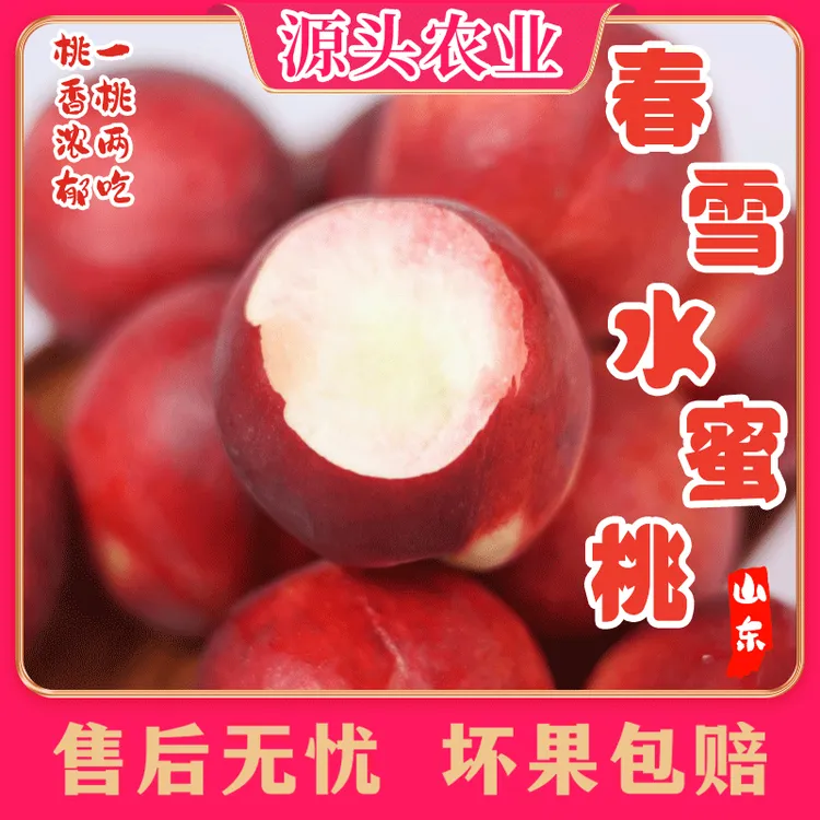 【夏日尝鲜】正宗山东春雪水蜜桃新鲜应季水果桃子 3斤 S