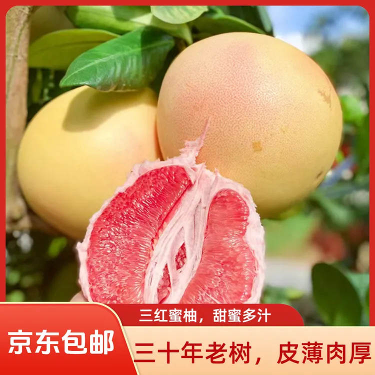 《京东包邮》金秋佳果30年老树正宗广东梅州三红蜜柚皮薄肉厚红心柚
