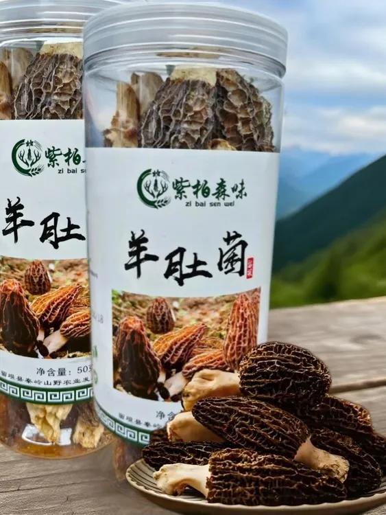 秦岭留坝新鲜羊肚菌干货头茬个头饱满肉质肥厚煲汤炒菜美味食材