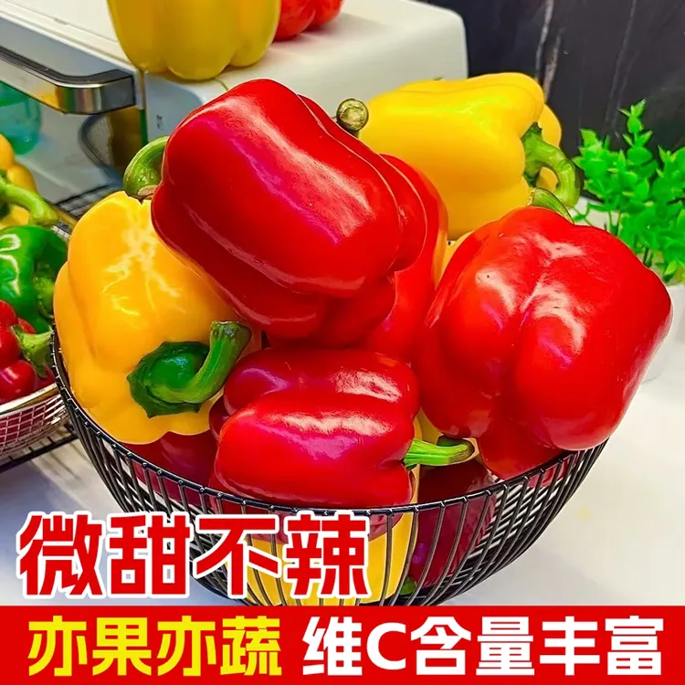 正宗高产五彩水果椒生吃不辣应季灯笼椒苗