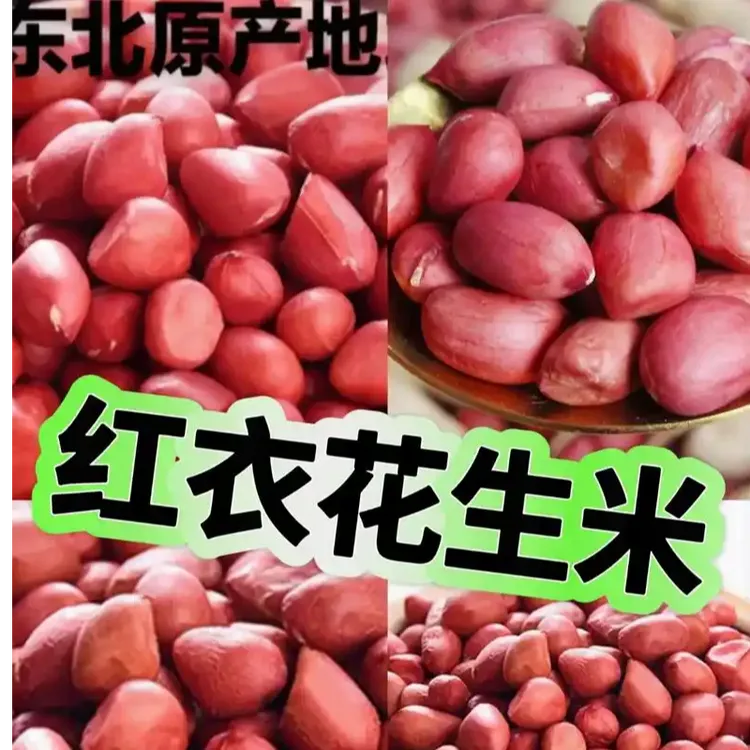 【大粒】红衣四粒红花生米东北吉林特产2025年新米手工挑选