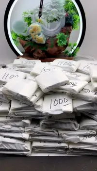 【闪购商品】翡翠颈饰未镶嵌客服咨询链接【勿拍】