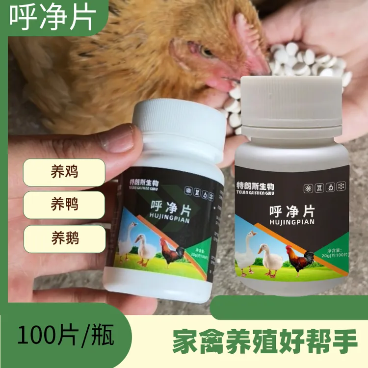呼净片100片鸡鸭鹅专用家禽常备