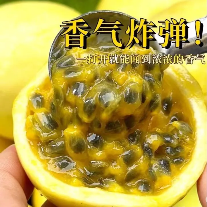 广西钦蜜9号百香果新鲜当季水果配开果器