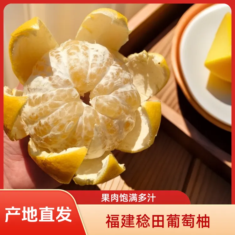 福建稔田当季新鲜葡萄柚皮薄汁多