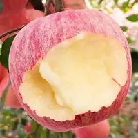 【坏果包赔】烟台栖霞红富士产地直发现摘现发新鲜当季水果整箱HT