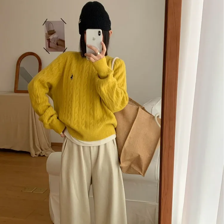 【圆宝】韩系宽松休闲长袖圆领套头秋冬极简风螺纹麻花软糯刺绣小马毛衣