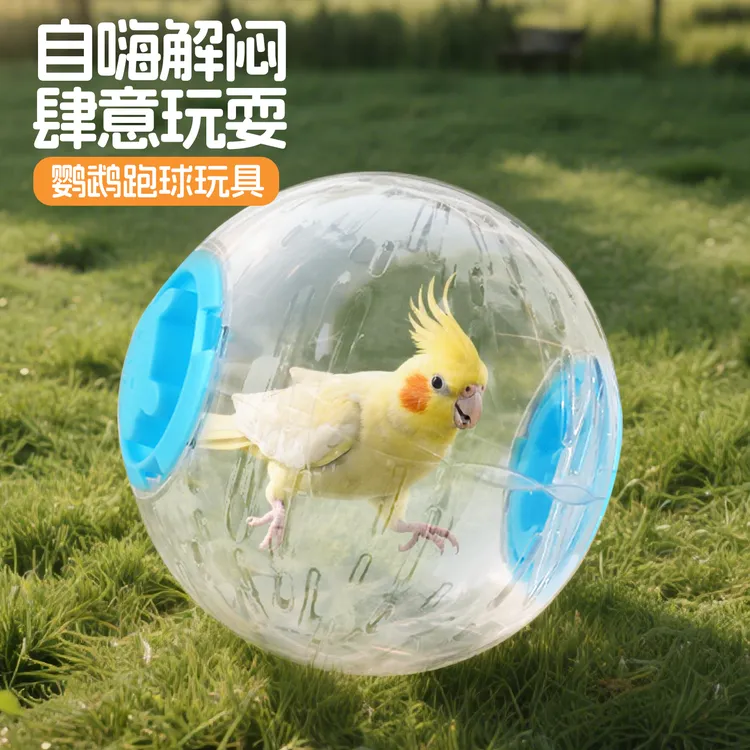 鹦鹉玩具跑球虎皮牡丹解闷自嗨走球啃咬滚球小太阳鸟解压新款训练