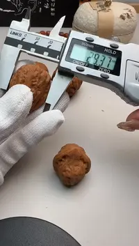 【闪购商品】文玩核桃把件一对核桃