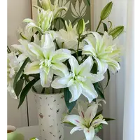 【云舍花卉】上海种业【浪漫之心】重瓣百合任意满两单及以上鲜花包邮