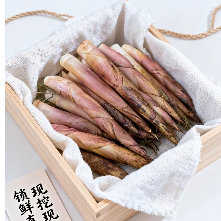 源头农村新鲜雷竹笋 现挖现发 当季鲜笋 大量供应产地直发