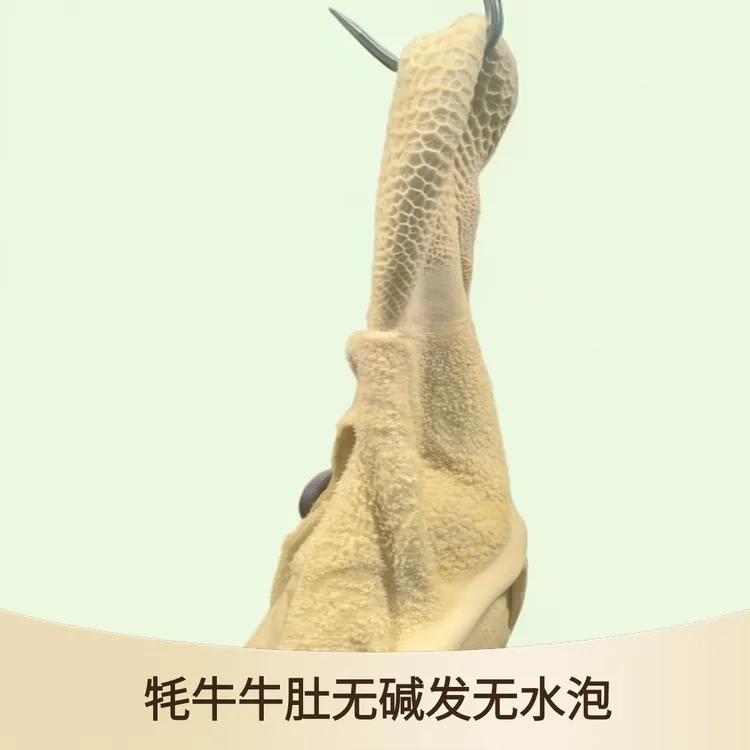 【牛肚6斤】满4斤送2斤牦牛牛肚带金钱肚到手6斤固形物含量100%