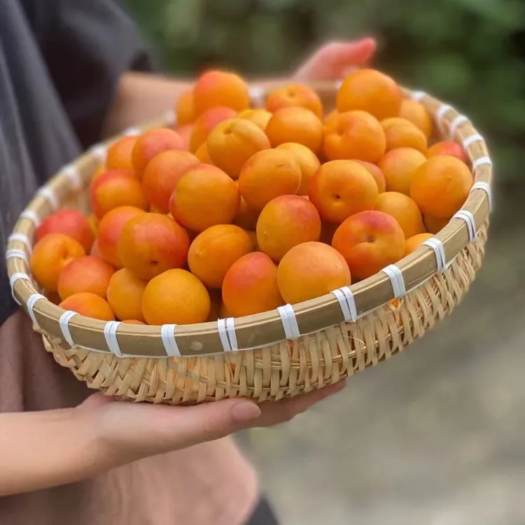 新疆甜 阿克苏沙漠小红杏 纯美甘甜 浓香爆汁 顺丰空运