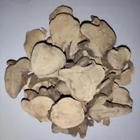 <固齿粉>自然干燥（代客打粉）