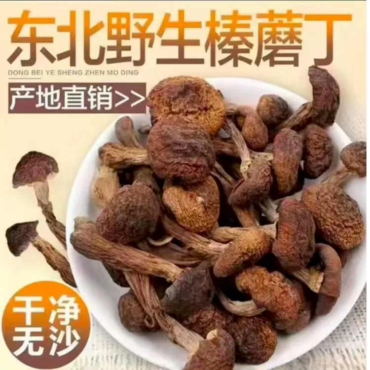 东北纯特产野生鲜嫩爽口榛蘑蘑菇包邮
