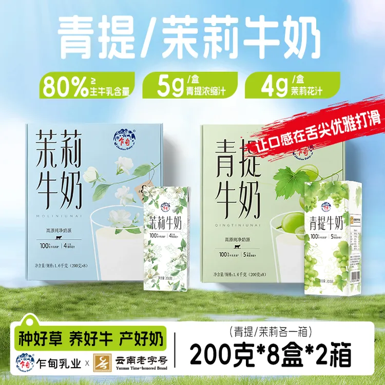 【乍甸】高原牧场青提牛奶/茉莉牛奶清爽奶香醇厚整箱200g*8盒*2箱
