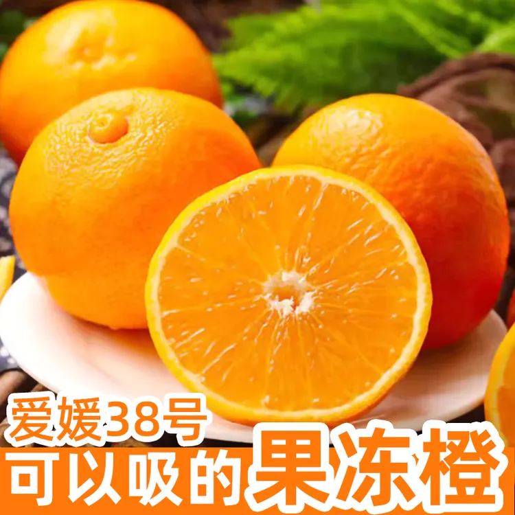 爱媛果冻橙精品大果净重5斤九甜一酸京东送货上门