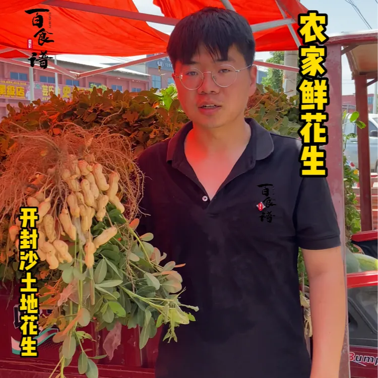 2025年河南开封沙土地新鲜湿花生农家种植现挖带泥新鲜花生湿花生