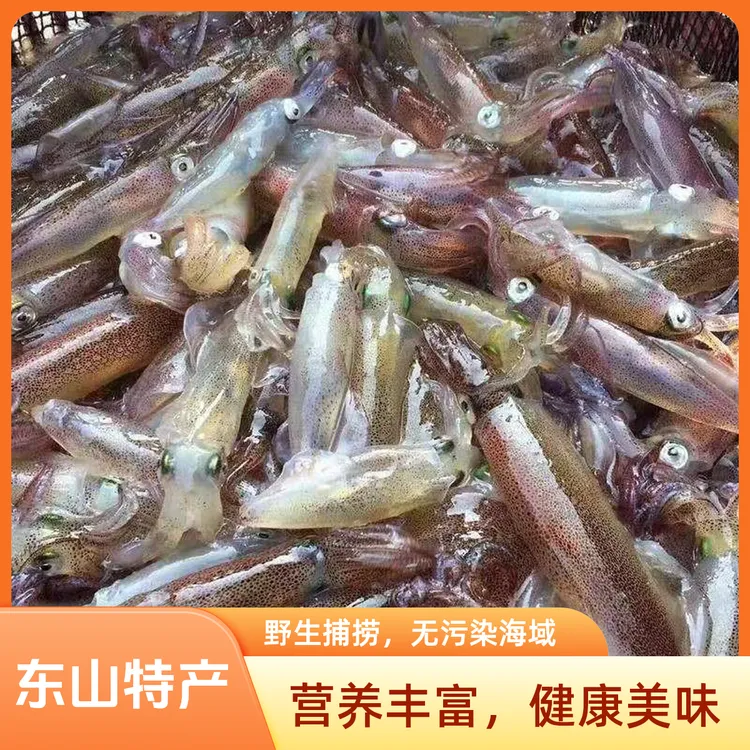 东山新鲜海捕小管一口管小鱿鱼速冻乌贼笔管鱿海兔严选东山小管