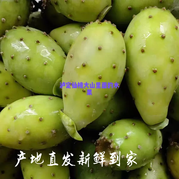 四川泸定仙人掌果仙桃新鲜采摘香甜多汁产地直供不常见的稀奇水果